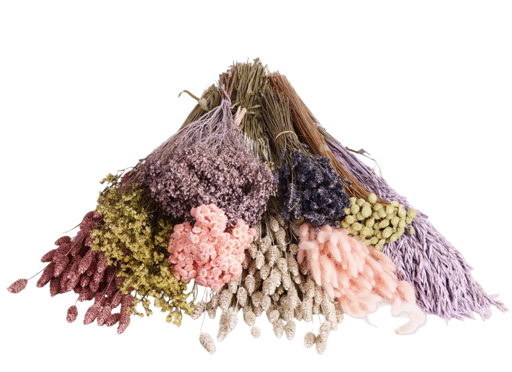 imgi_101_atlasflowers-colourful-flowers-5