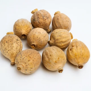 Dried Poppy Heads